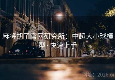 麻将胡了官网研究所：中超大小球模型·快速上手