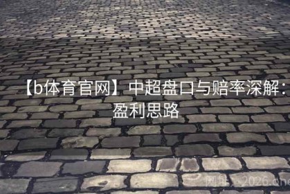 【b体育官网】中超盘口与赔率深解：盈利思路