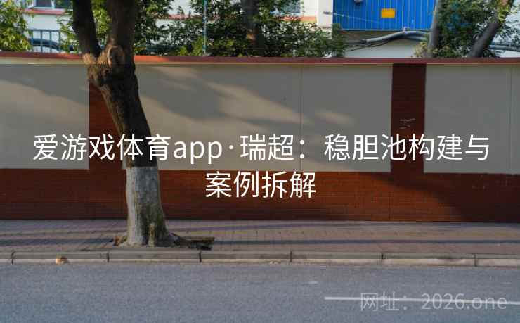 爱游戏体育app·瑞超：稳胆池构建与案例拆解