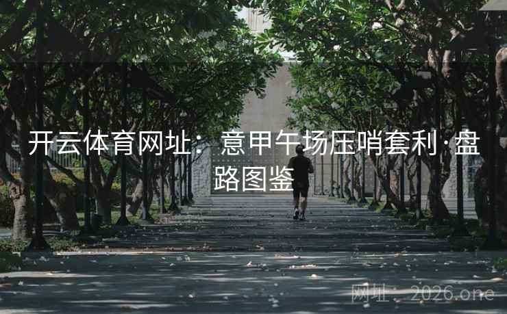 开云体育网址：意甲午场压哨套利·盘路图鉴